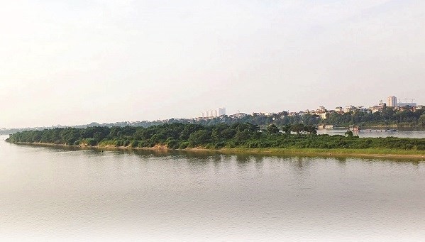 Hà Nội đề xuất quy hoạch khu bảo vệ chim di cư ở bãi giữa sông Hồng- Ảnh 1.