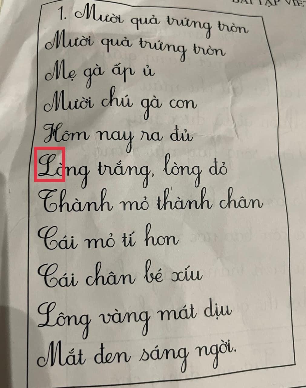 Nam ca sĩ nổi tiếng chê giáo dục Việt Nam 