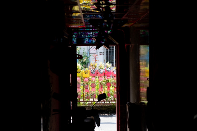Người đàn ông cô đơn phủ hồng căn nhà và ngõ nhỏ ở Sài Gòn: 
