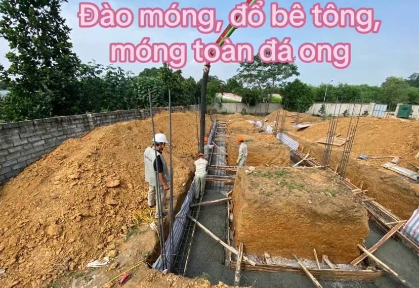 Cặp vợ chồng bỏ phố về ngoại thành Hà Nội làm nhà villa trên mảnh đất 2000m2: Chi 10 tỷ rồi vẫn chưa đủ!- Ảnh 1.