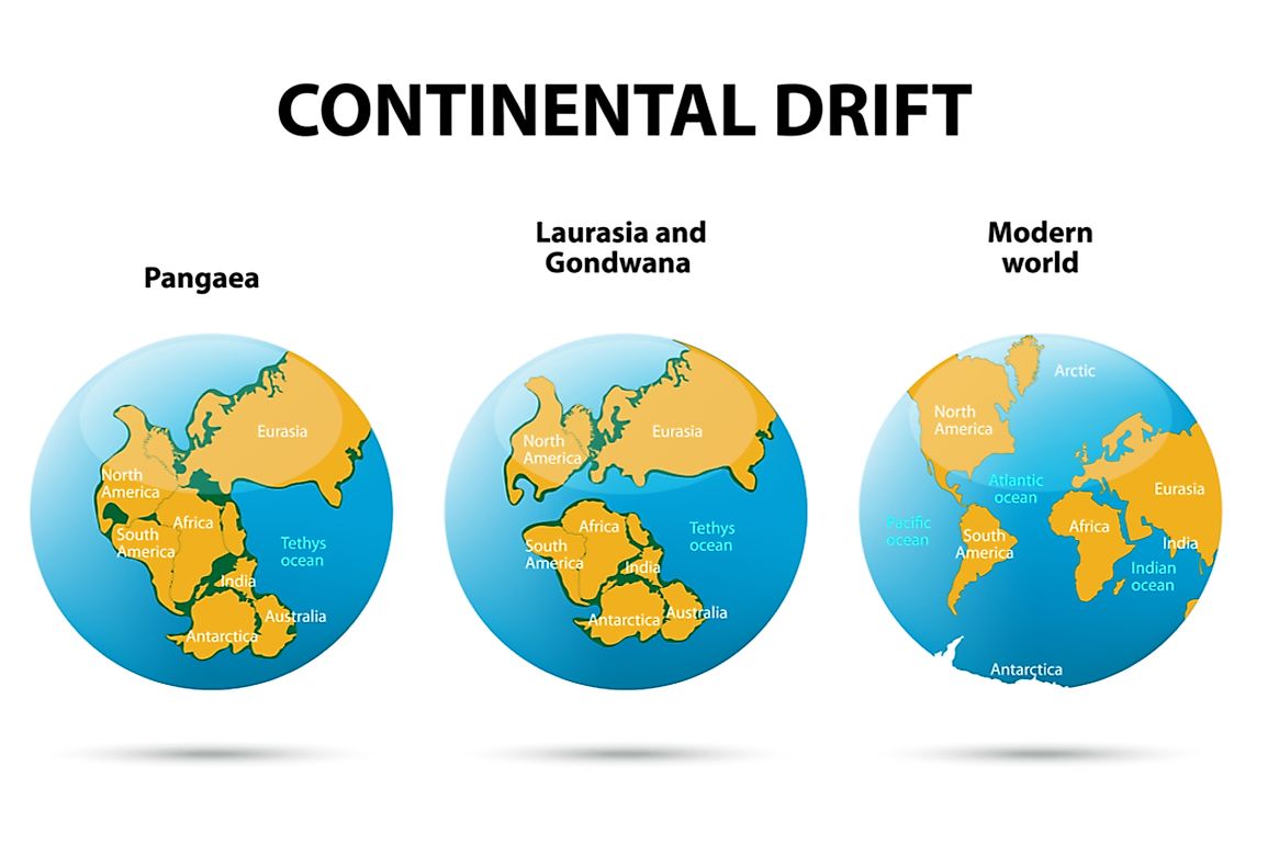 Bí ẩn về siêu lục địa Pangaea từng bao phủ 1/3 Trái Đất- Ảnh 2.