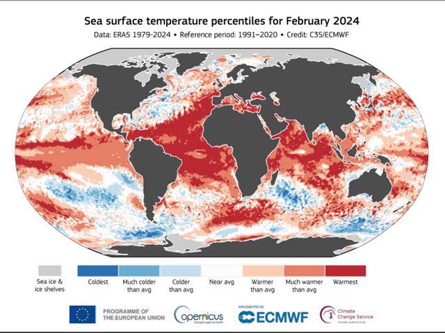 Nhiệt độ các đại dương trên thế giới tăng lên mức cao nhất trong lịch sử- Ảnh 3.