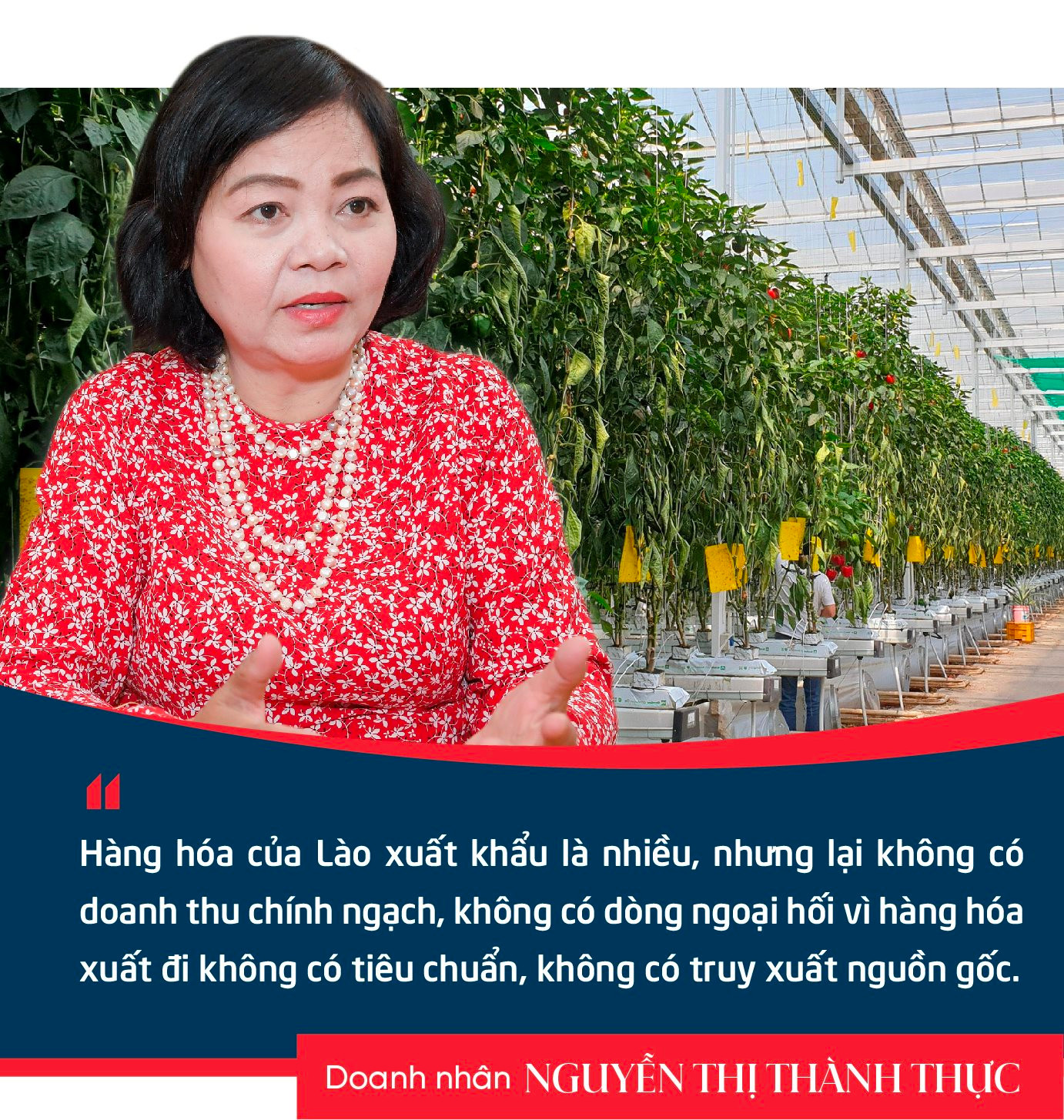 Doanh nhân Nguyễn Thị Thành Thực: Người Hàn Quốc sang Việt Nam làm chủ lĩnh vực công nghiệp, thì người Việt Nam cũng có thể làm chủ trong nông nghiệp ở Hàn Quốc- Ảnh 4.