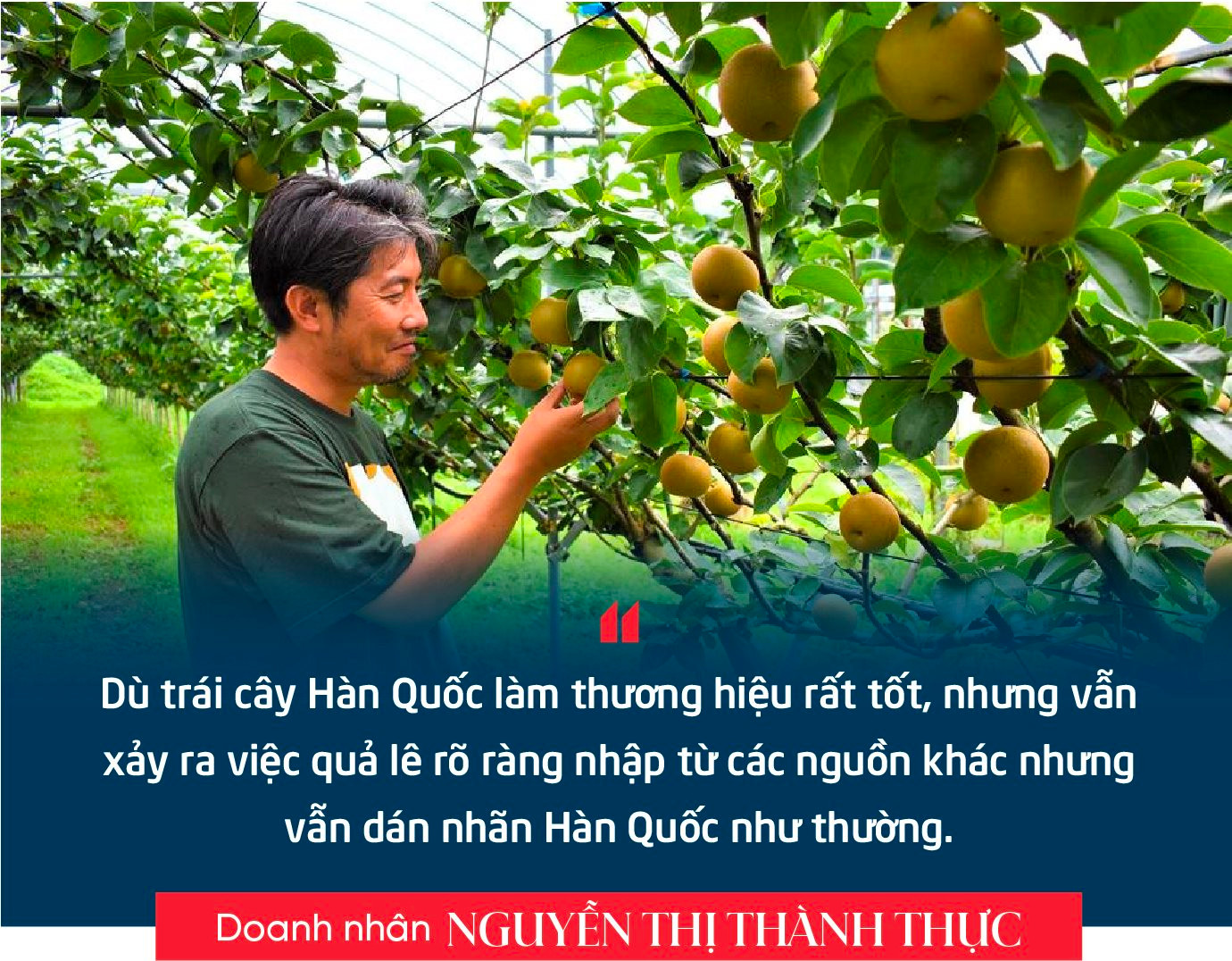 Doanh nhân Nguyễn Thị Thành Thực: Người Hàn Quốc sang Việt Nam làm chủ lĩnh vực công nghiệp, thì người Việt Nam cũng có thể làm chủ trong nông nghiệp ở Hàn Quốc- Ảnh 6.