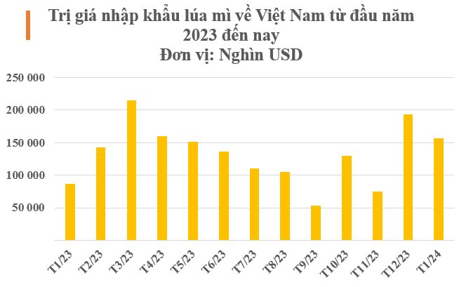 Một loại nông sản từ Brazil vào Việt Nam bất ngờ tăng nóng hơn 28.000%: Nước ta nhập khẩu nửa triệu tấn trong tháng 1, Nga thống trị thị trường toàn cầu năm 2023- Ảnh 2.
