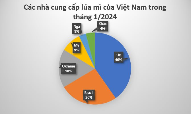 Một loại nông sản từ Brazil vào Việt Nam bất ngờ tăng nóng hơn 28.000%: Nước ta nhập khẩu nửa triệu tấn trong tháng 1, Nga thống trị thị trường toàn cầu năm 2023- Ảnh 3.