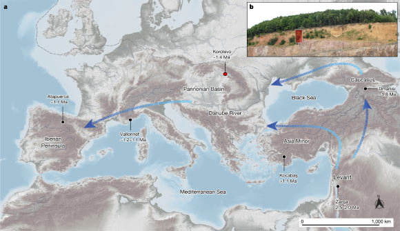 Báu vật 1,42 triệu tuổi từ loài người khác lộ diện ở Ukraine- Ảnh 1.