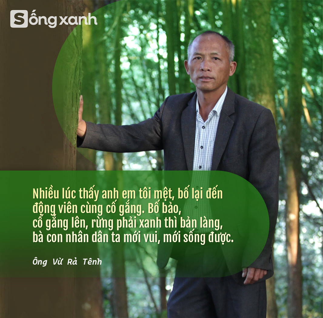 6 bố con mang cơm nắm dắt díu nhau vào rừng - 20 năm sau có 'kho báu' bạt ngàn hàng trăm tỷ đồng để đời- Ảnh 11.