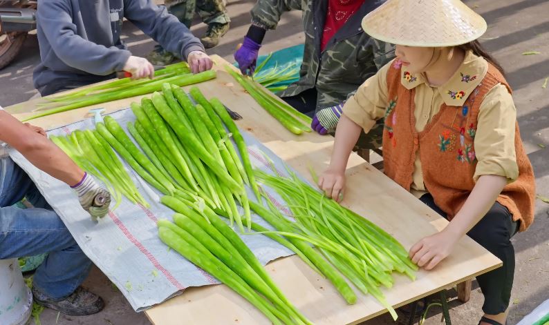 Cách chế biến rau tiến vua Cách chế biến rau tiến vua