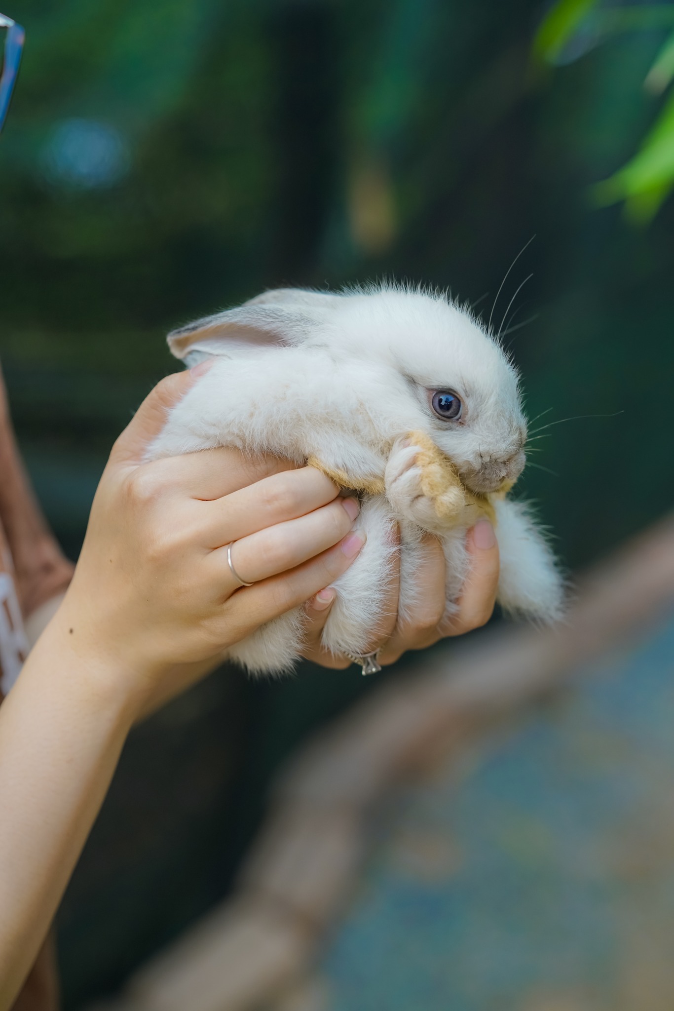 Khu cắm trại ngay Hà Nội: Chị em sống ảo nhiệt tình, các bé thỏa sức vui chơi, vé vào cửa chỉ 60 - 80K/người- Ảnh 25.