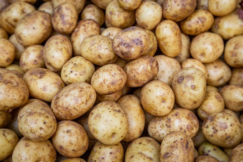 Bí quyết giữ khoai tây tươi ngon, không mọc mầm trong nhiều tháng- Ảnh 2.