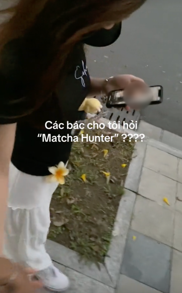 “Matcha hunter” - từ khóa đang xâm chiếm mạng xã hội là gì?- Ảnh 5.