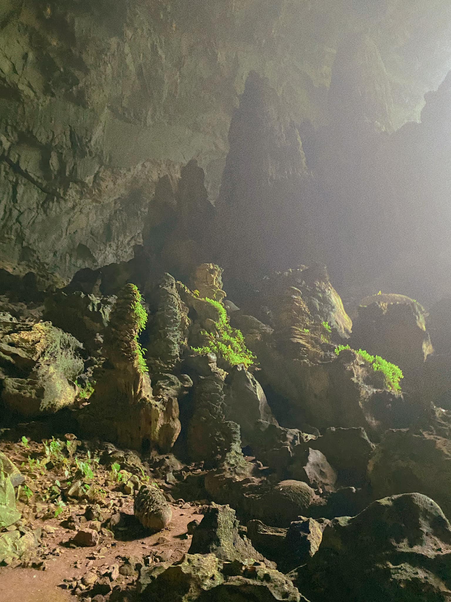 Phát hiện hang động hoang sơ với những khối núi đá vôi hàng trăm triệu tuổi, cách Hà Nội chỉ hơn 200km- Ảnh 9.