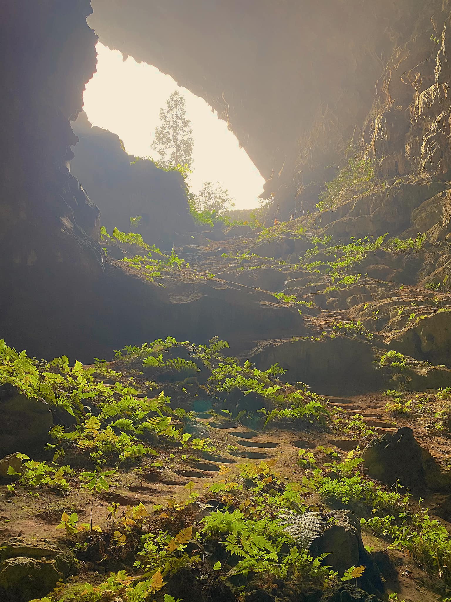 Phát hiện hang động hoang sơ với những khối núi đá vôi hàng trăm triệu tuổi, cách Hà Nội chỉ hơn 200km- Ảnh 11.