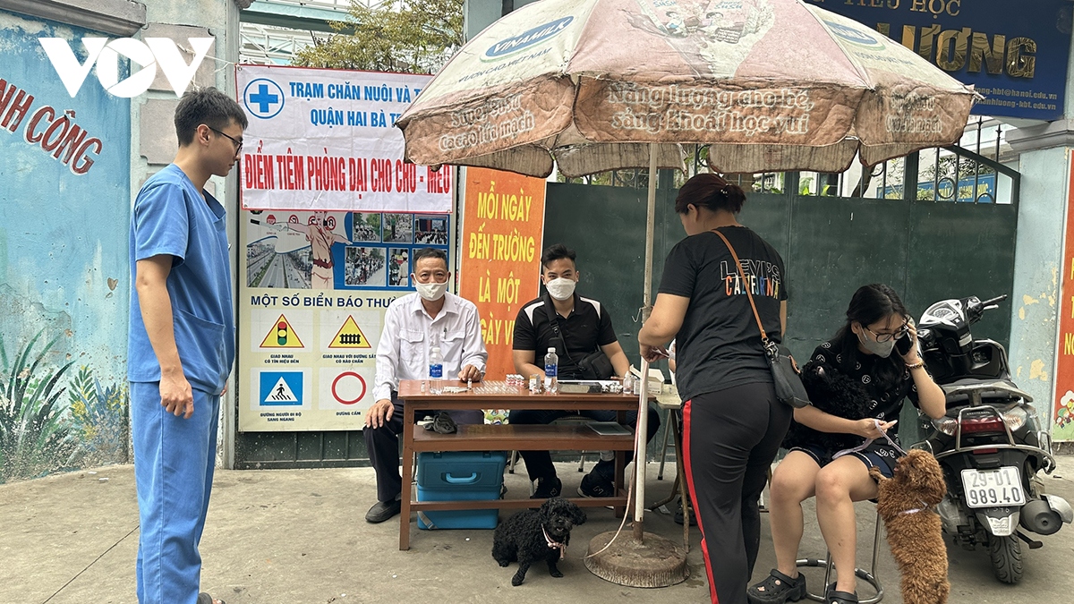 Phát hoảng vì chó không rọ mõm thả rông nơi công cộng ở Hà Nội- Ảnh 2.