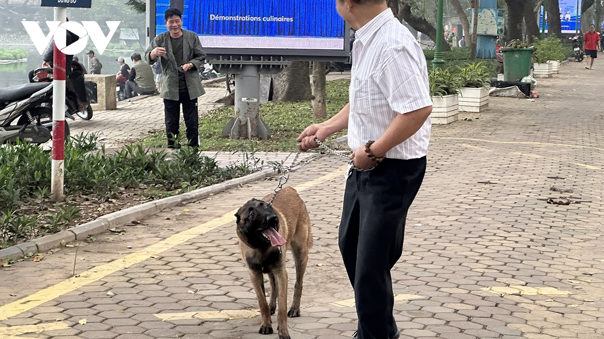Phát hoảng vì chó không rọ mõm thả rông nơi công cộng ở Hà Nội- Ảnh 3.