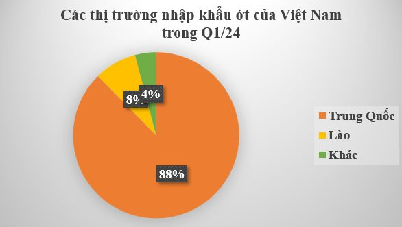 Không chỉ sầu riêng, Trung Quốc, Lào cũng đang tranh giành loại 'vàng trên cây' này của Việt Nam: Thu hơn 8 triệu USD trong 3 tháng đầu năm, có bao nhiêu mua bấy nhiêu- Ảnh 2.