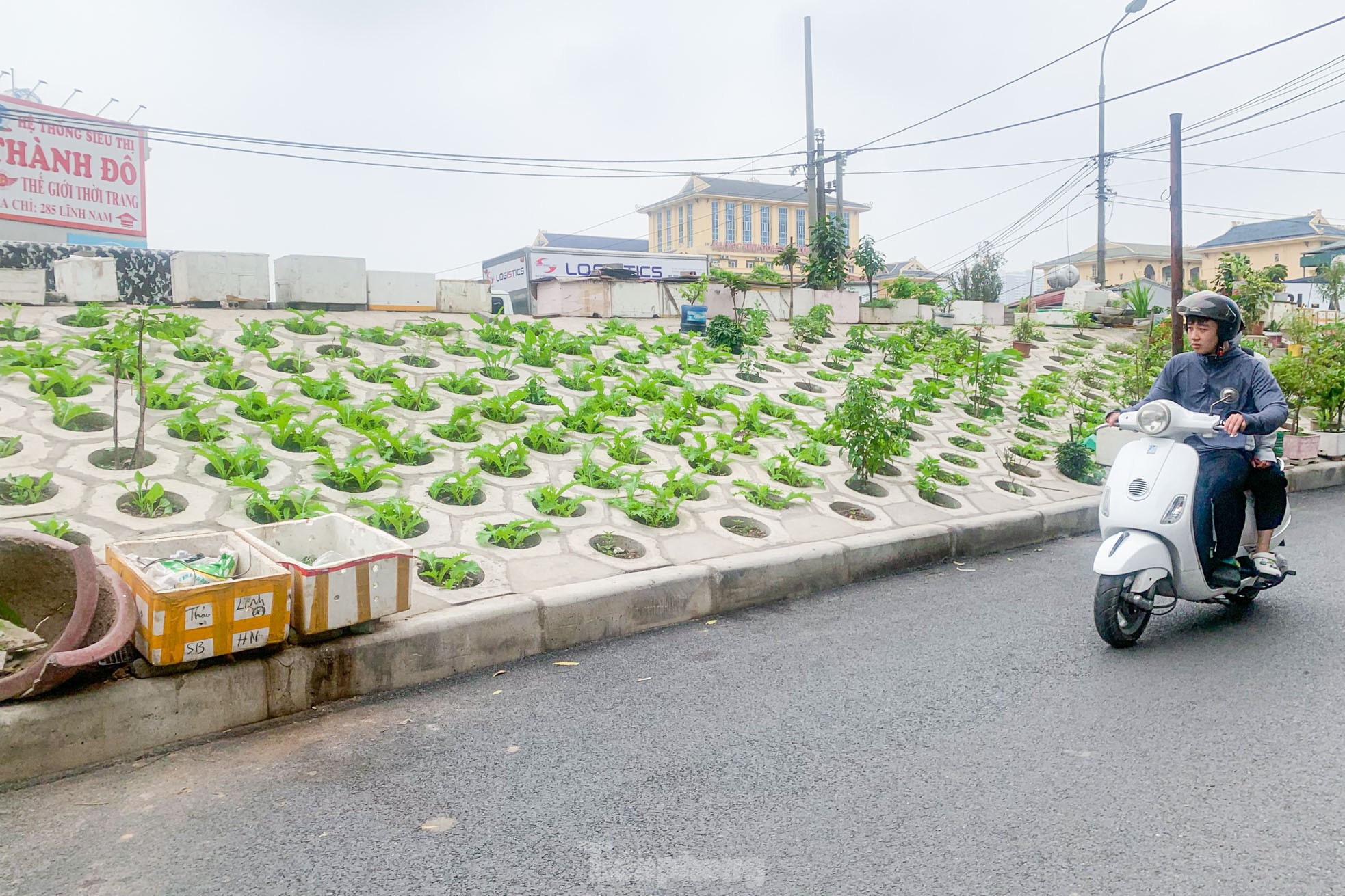 Trên đê Nguyễn Khoái, chỗ trồng rau phủ xanh, chỗ ngập rác ô nhiễm- Ảnh 1.