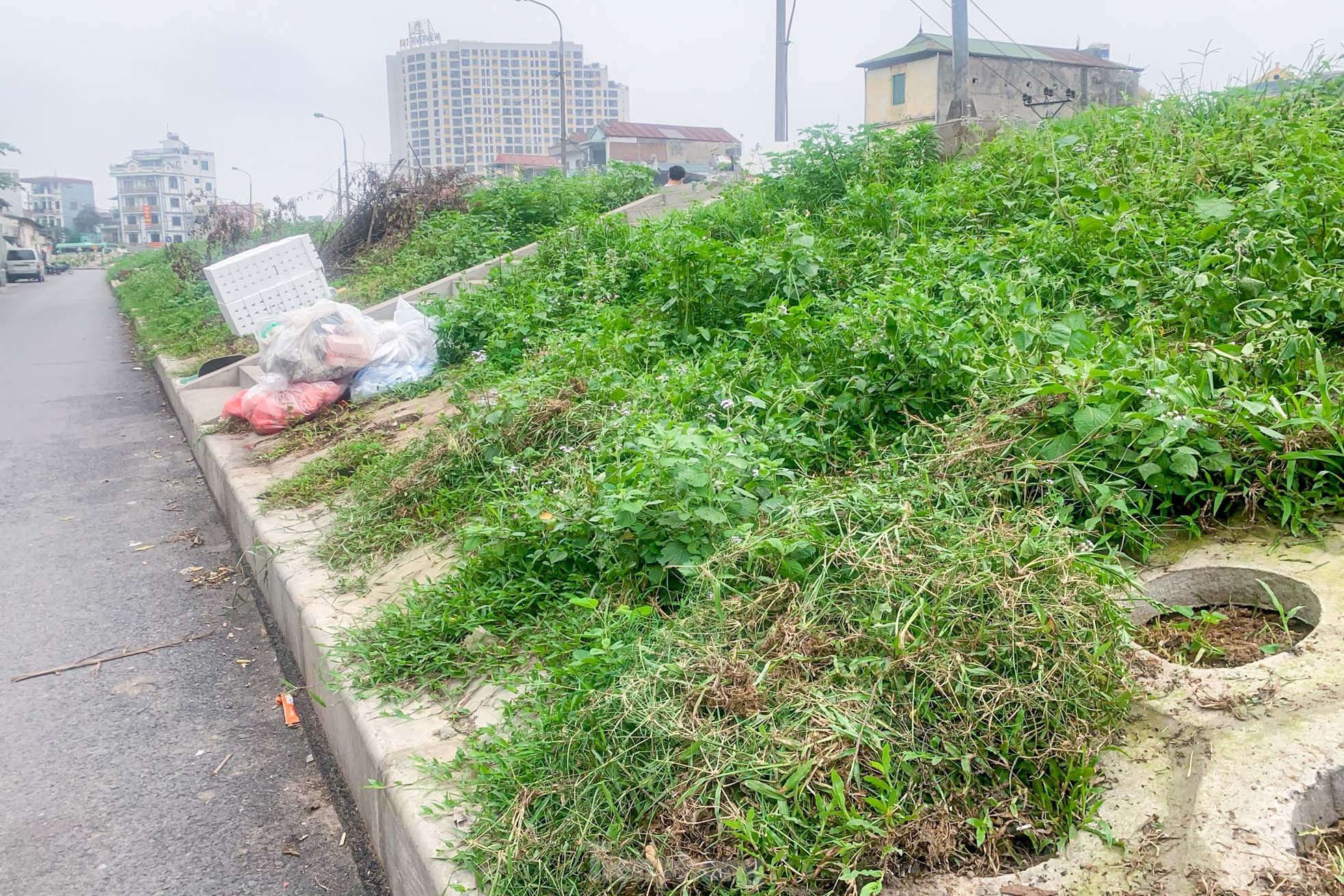 Trên đê Nguyễn Khoái, chỗ trồng rau phủ xanh, chỗ ngập rác ô nhiễm- Ảnh 7.
