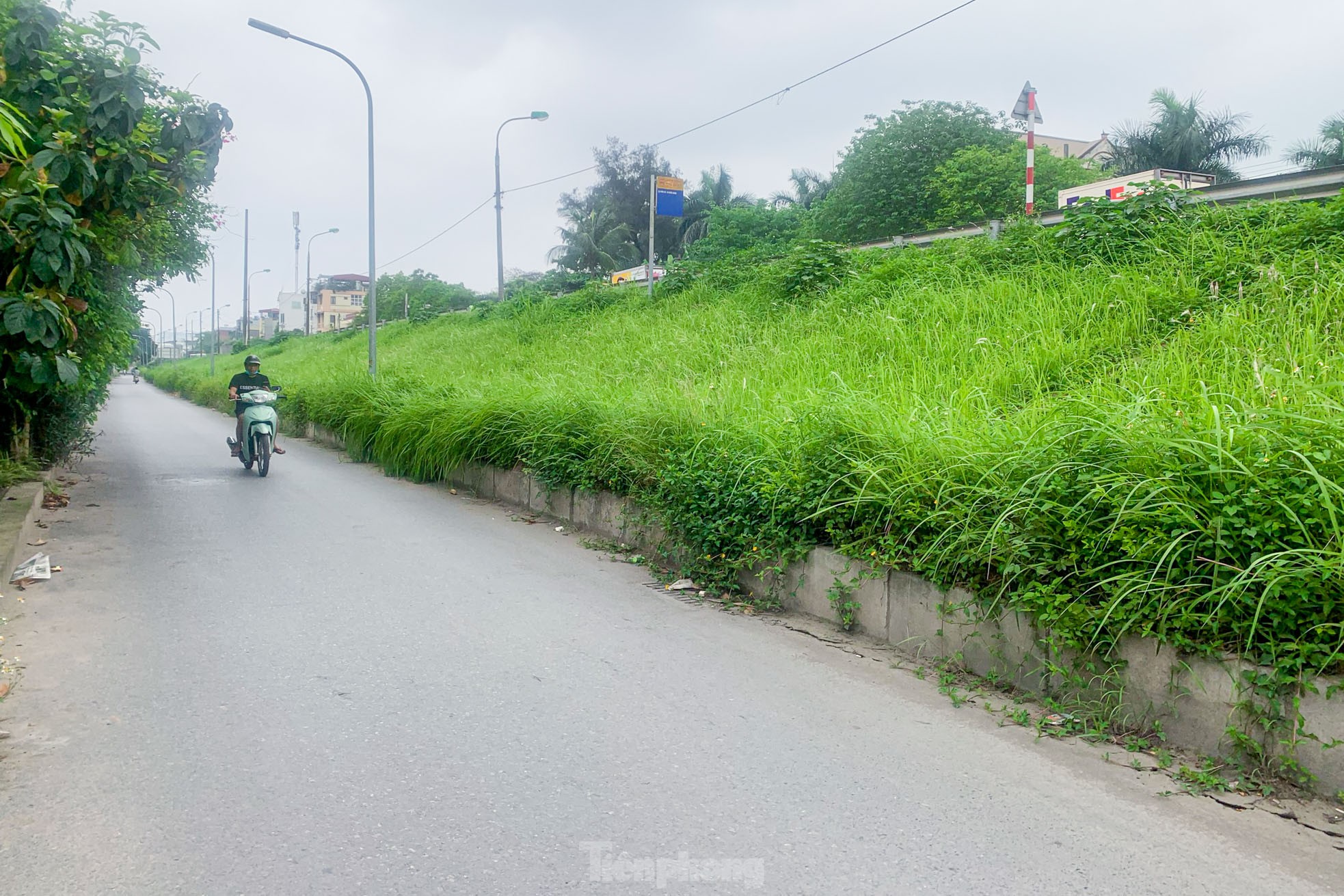 Trên đê Nguyễn Khoái, chỗ trồng rau phủ xanh, chỗ ngập rác ô nhiễm- Ảnh 8.