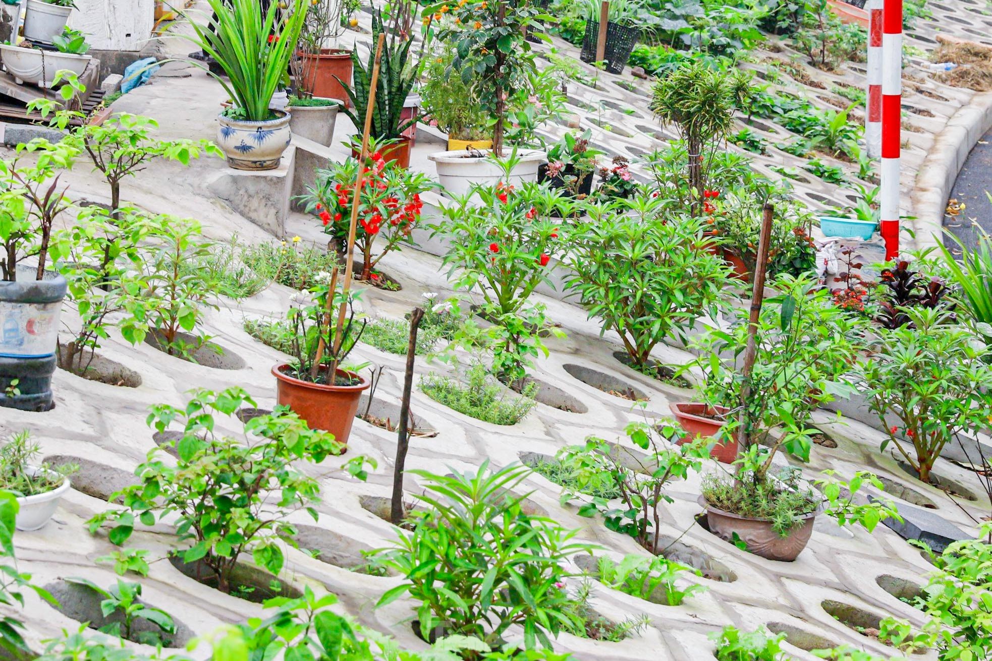 Trên đê Nguyễn Khoái, chỗ trồng rau phủ xanh, chỗ ngập rác ô nhiễm- Ảnh 6.