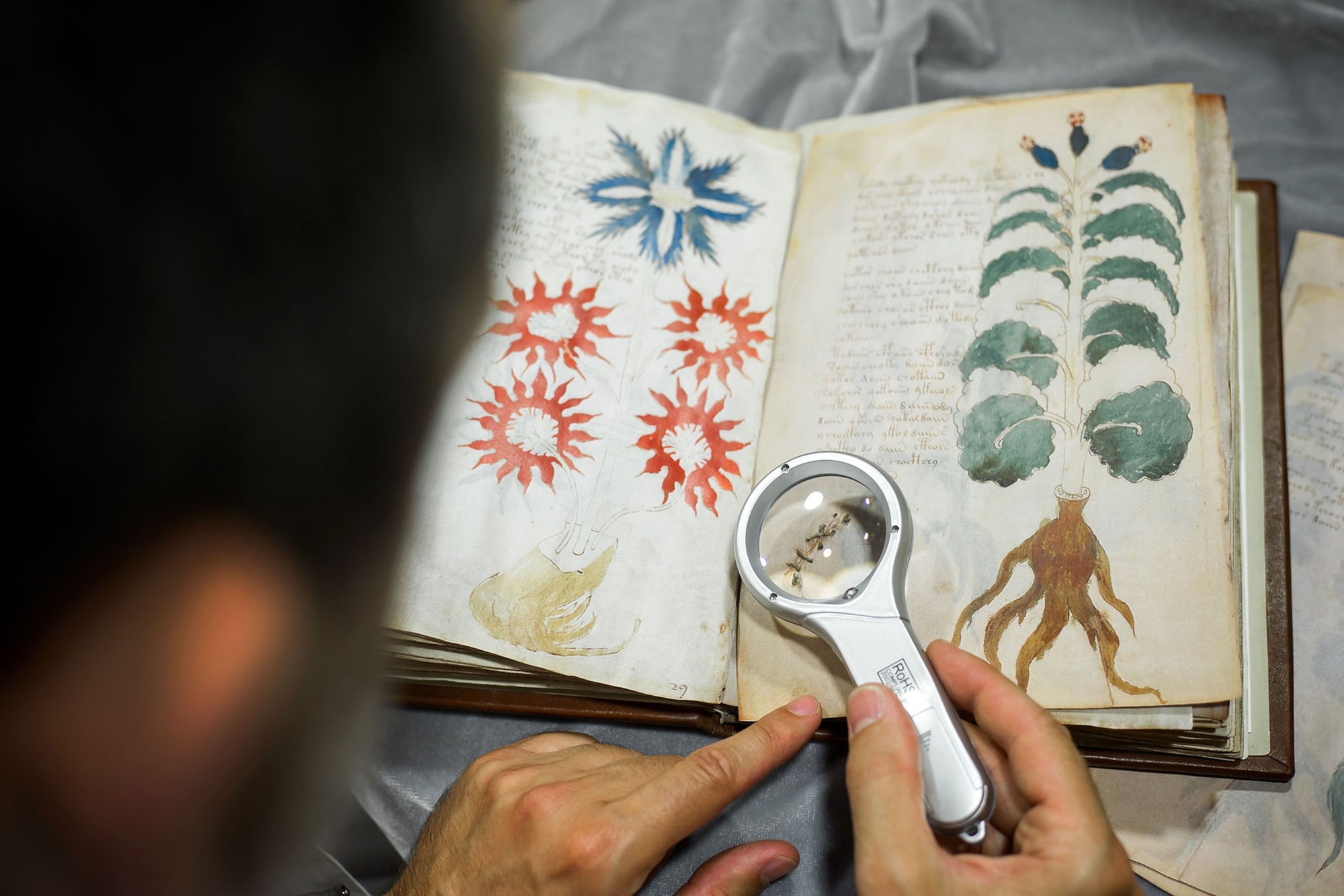 AI đã giải mã được bản thảo Voynich, bí ẩn 600 năm tuổi mà không ai có thể giải mã được?- Ảnh 1.