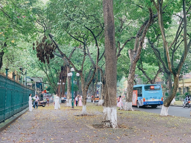 Hà Nội “dậy muộn” trong ngày nghỉ lễ: Thời tiết mát dịu sau cơn mưa đêm, không đi cà phê chill chill thì phí quá- Ảnh 21.