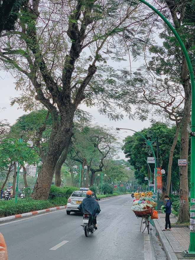 Hà Nội “dậy muộn” trong ngày nghỉ lễ: Thời tiết mát dịu sau cơn mưa đêm, không đi cà phê chill chill thì phí quá- Ảnh 15.