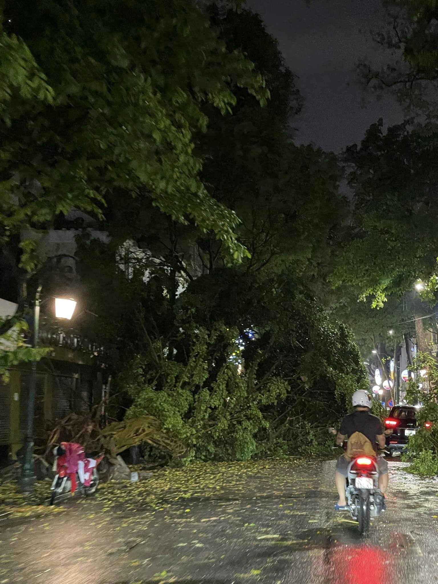 Cây đổ trên nhiều tuyến phố Hà Nội sau trận mưa lớn, đoạn clip khiến tất cả xôn xao - Ảnh 3.