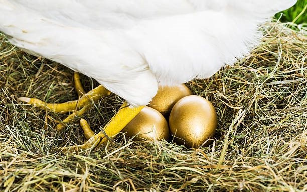 'Âm thầm' phát triển thành gà đẻ trứng vàng cho VinFast!