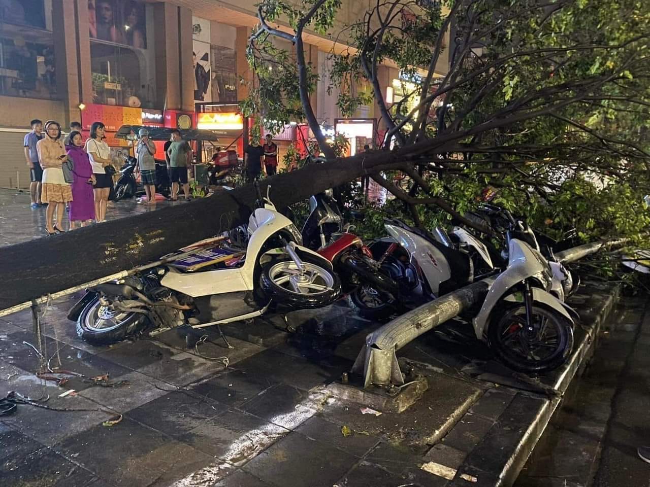 Hiện trường cây đổ la liệt, xe Audi bẹp dúm trên đường phố Hà Nội sau trận mưa dông bất ngờ- Ảnh 3.