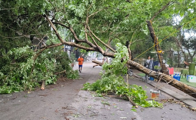 Hà Nội sau trận mưa lốc kinh hoàng: Hàng loạt cây cối đổ rạp, nhà trọ bị cuốn bay mái khiến bố mẹ phải ôm con di tản trong đêm- Ảnh 7.