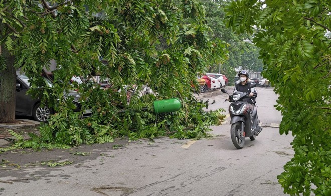 Hà Nội sau trận mưa lốc kinh hoàng: Hàng loạt cây cối đổ rạp, nhà trọ bị cuốn bay mái khiến bố mẹ phải ôm con di tản trong đêm- Ảnh 6.