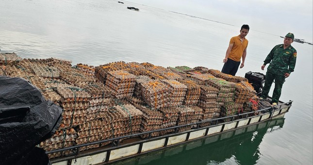 Dùng bè gỗ buôn lậu gần 30 nghìn quả trứng gà từ Trung Quốc- Ảnh 2.