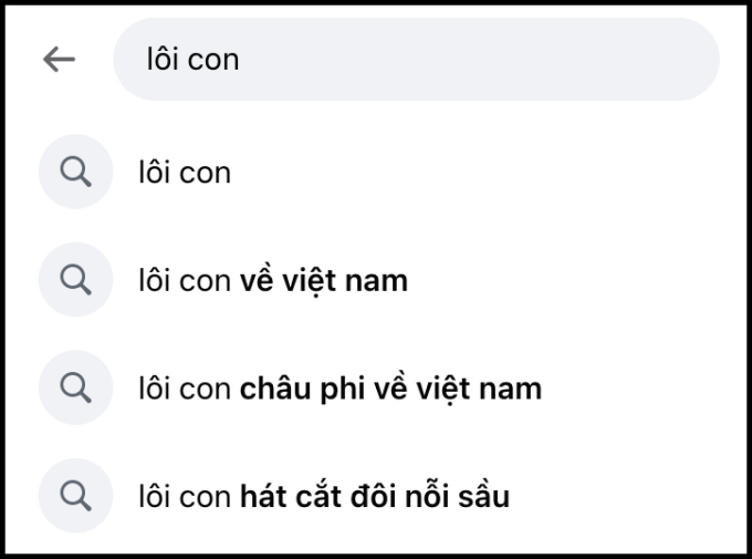 Sức hút khó tin của Lôi con ở Việt Nam: Fan xếp hàng đón ở sân bay, lên top trending khi diễn văn nghệ ở Hà Nam- Ảnh 6.