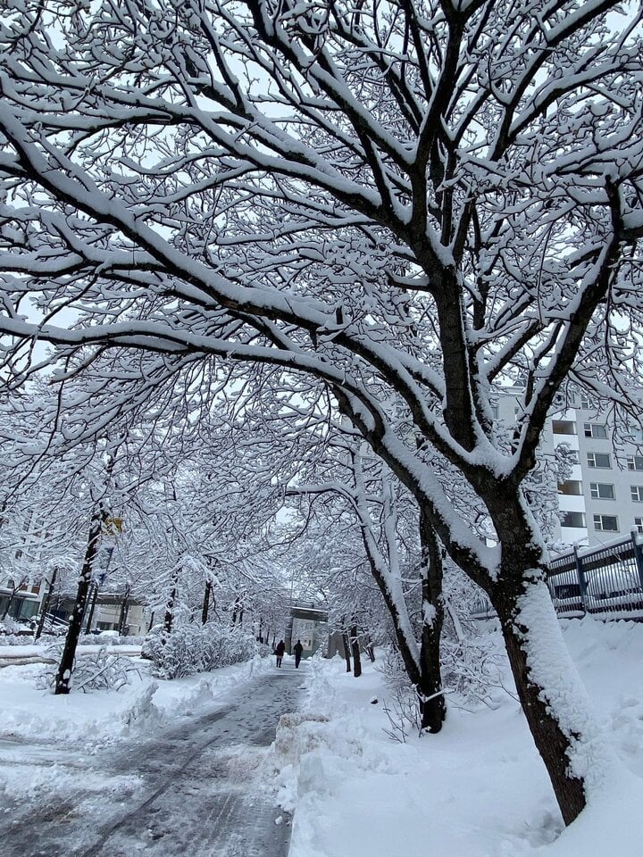 Tuyết rơi trắng trời đầu hè, người Việt gọi tên 'Rét nàng Bân của Phần Lan'- Ảnh 1.