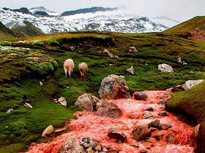 Bí ẩn dòng sông nhuộm đỏ ở Peru, tại sao chỉ đổi màu vào mùa mưa?- Ảnh 2.