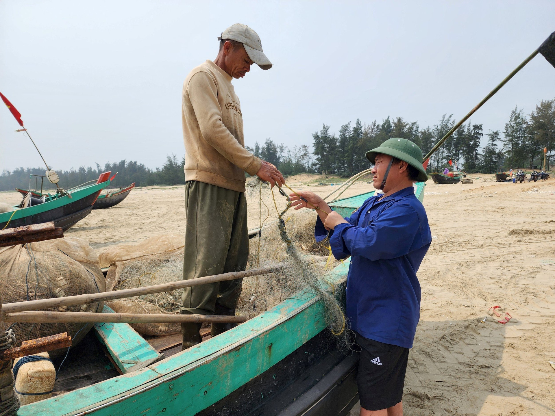 Ngư dân Hà Tĩnh kiếm tiền triệu mỗi ngày từ loại nhuyễn thể đặc biệt
- Ảnh 4.