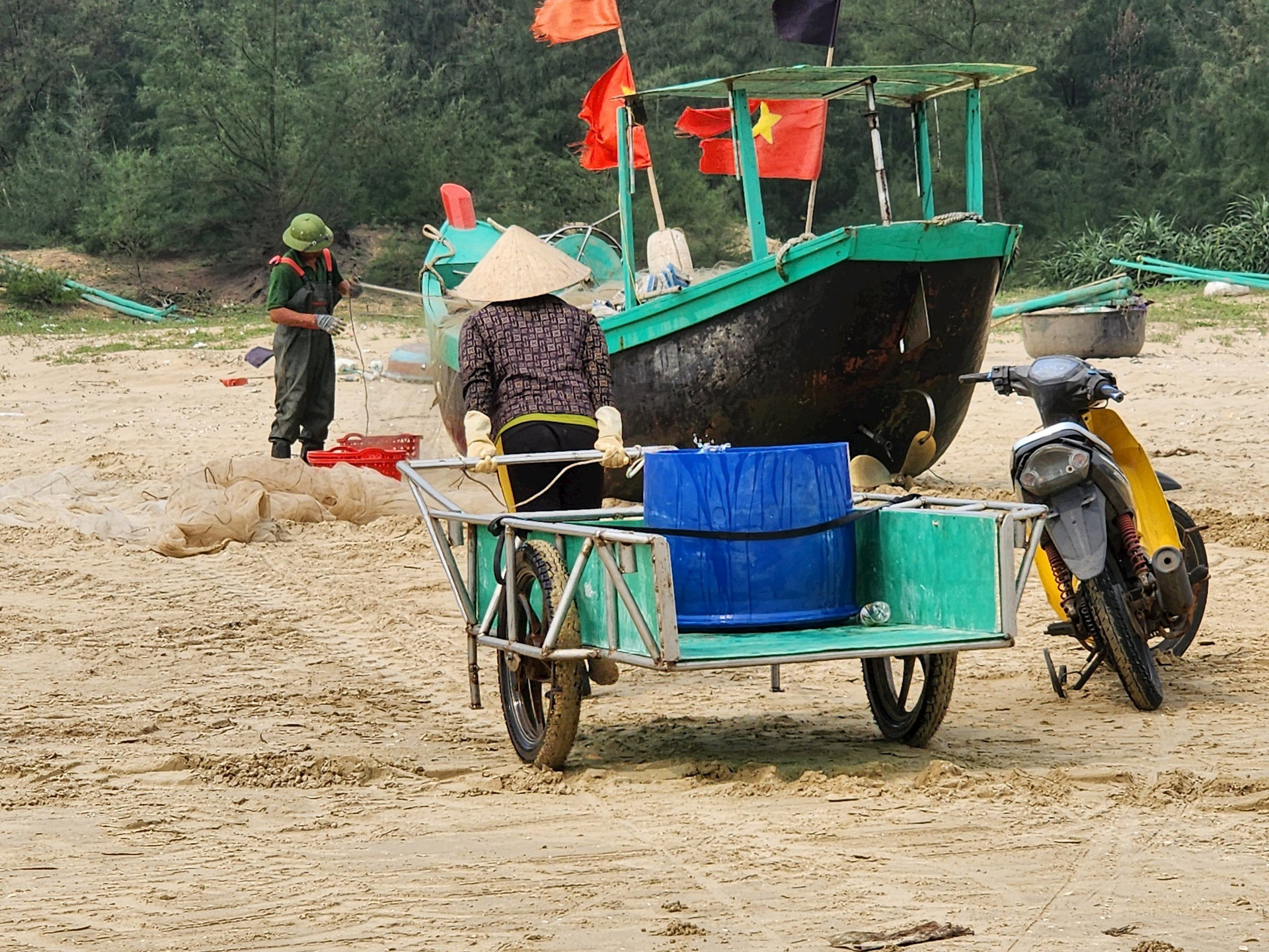 Ngư dân Hà Tĩnh kiếm tiền triệu mỗi ngày từ loại nhuyễn thể đặc biệt
- Ảnh 6.