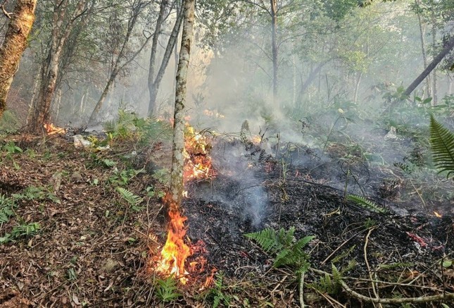 Hai cán bộ kiểm lâm Hà Giang tử vong khi chữa cháy rừng- Ảnh 2.