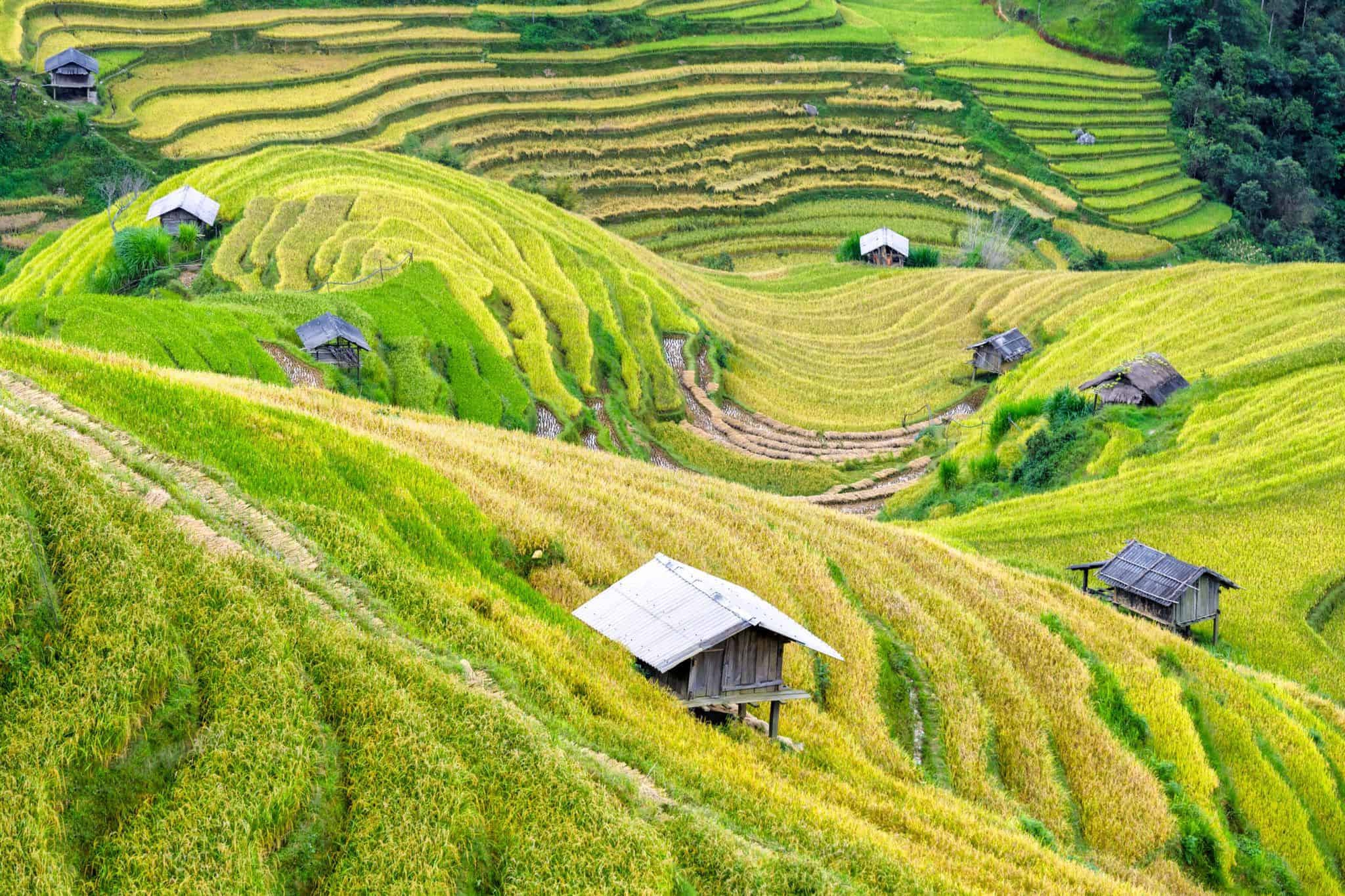 Hè ra biển quá đông đúc, dân tình kéo nhau leo núi “săn mây”: Những địa điểm gần Hà Nội chỉ cần xách balo lên là đi được ngay 30/4 này- Ảnh 12.