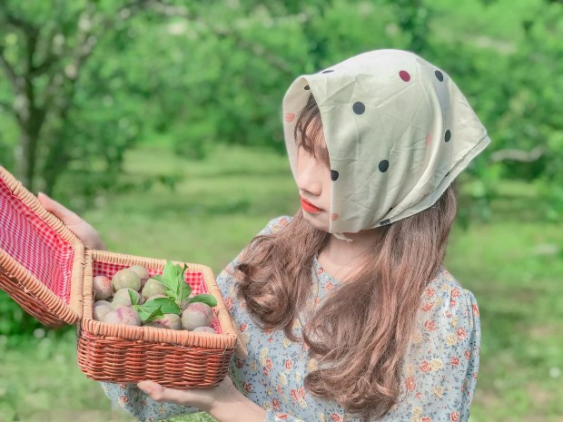 Hè ra biển quá đông đúc, dân tình kéo nhau leo núi “săn mây”: Những địa điểm gần Hà Nội chỉ cần xách balo lên là đi được ngay 30/4 này- Ảnh 7.