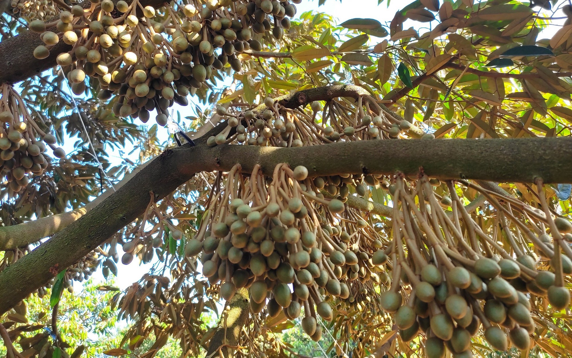 Tuyên bố đã tìm ra "long mạch", át chủ bài Bách Hóa Xanh của ông Nguyễn Đức Tài rục rịch khai trương thêm 10 cửa hàng ngay cuối tháng 9 - Ảnh 3.