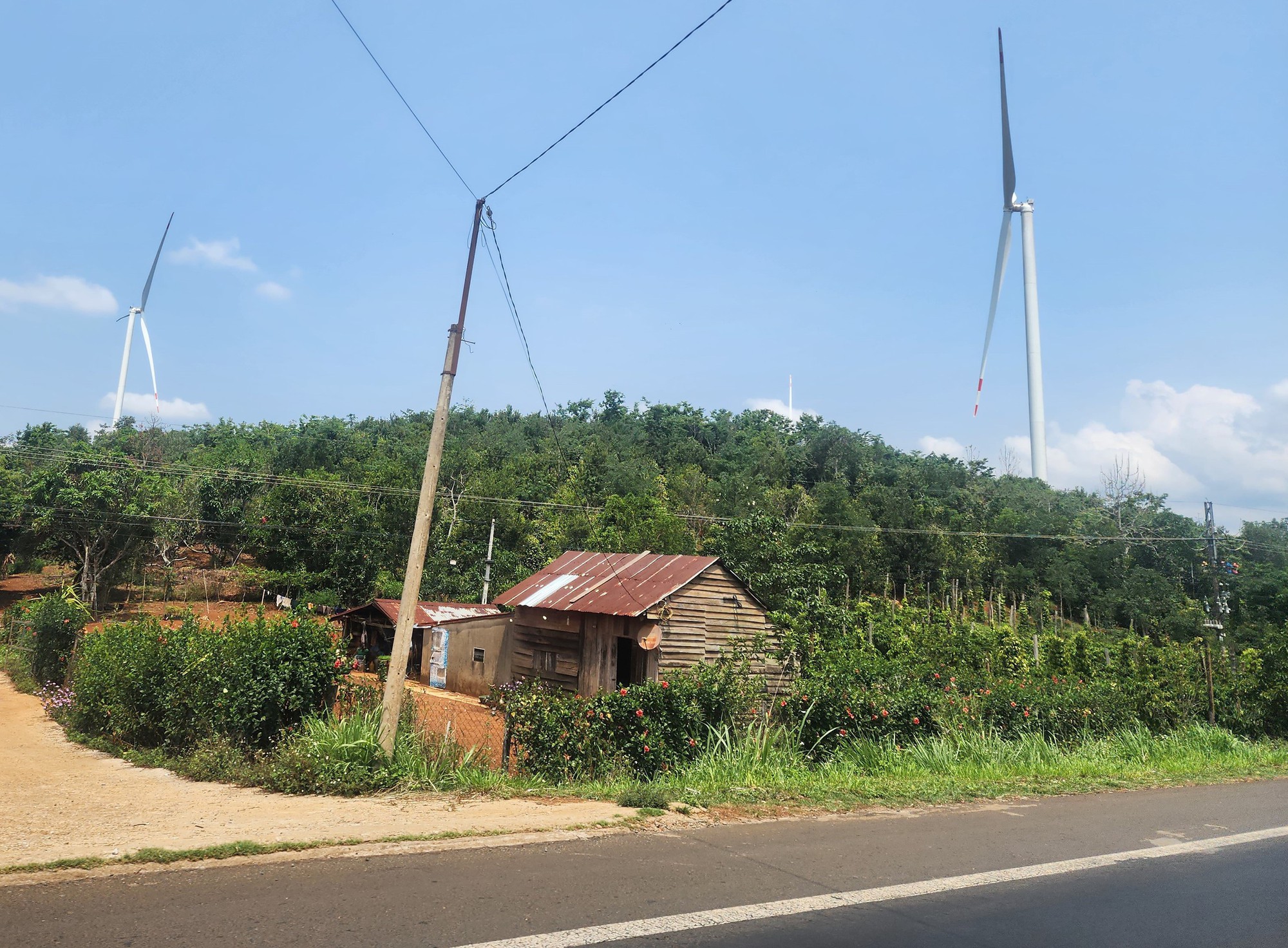 Ủy ban Kiểm tra Trung ương yêu cầu Đắk Nông cung cấp hồ sơ dự án điện gió, vì sao?- Ảnh 2.