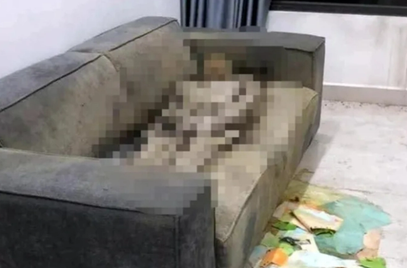 Thông tin mới vụ phát hiện thi thể chết khô trong căn hộ chung cư ở Hà Nội- Ảnh 1.