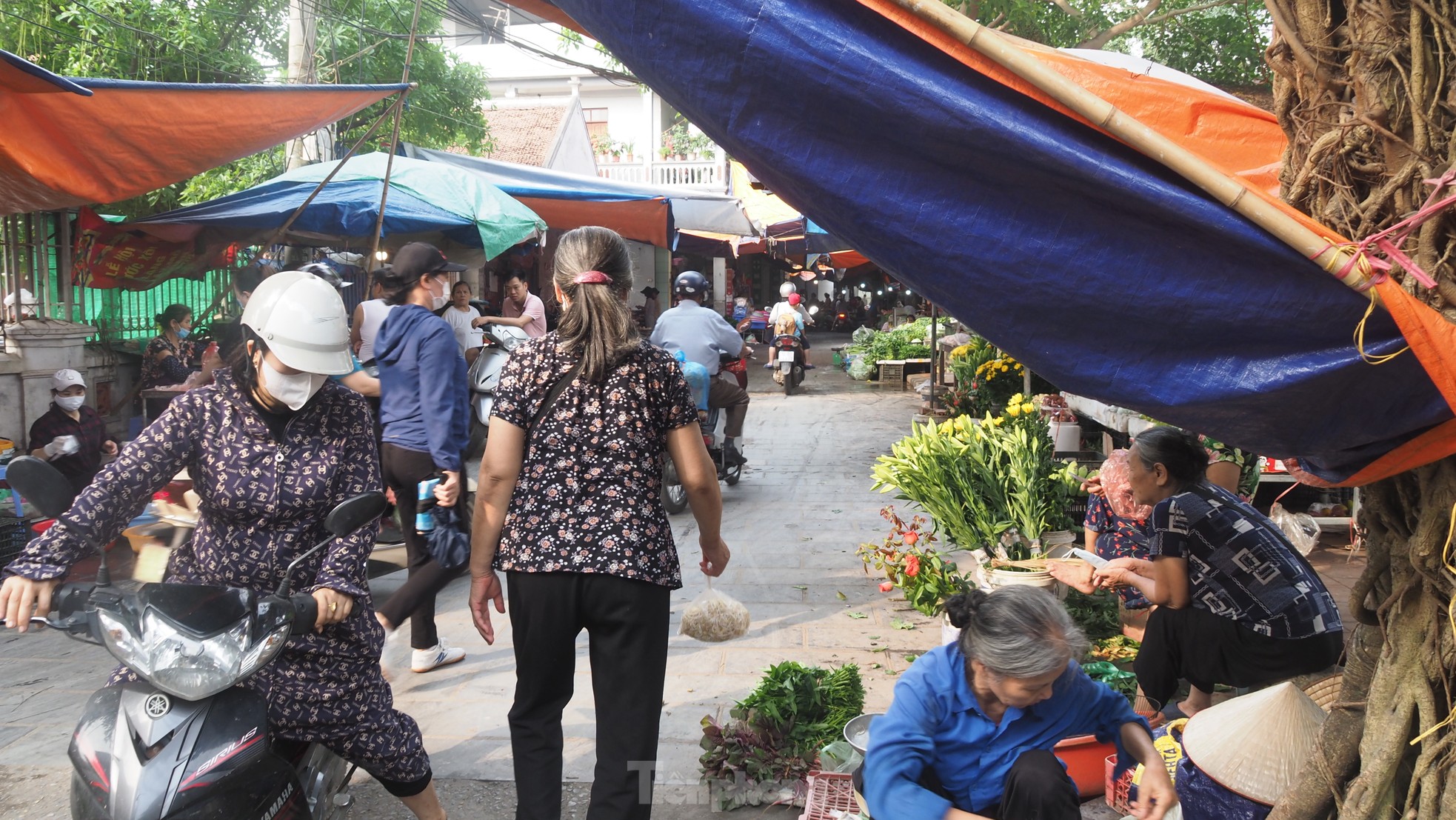 Chợ tiền tỷ Hà Nội xây xong bỏ hoang khiến nhiều người tiếc nuối- Ảnh 12.