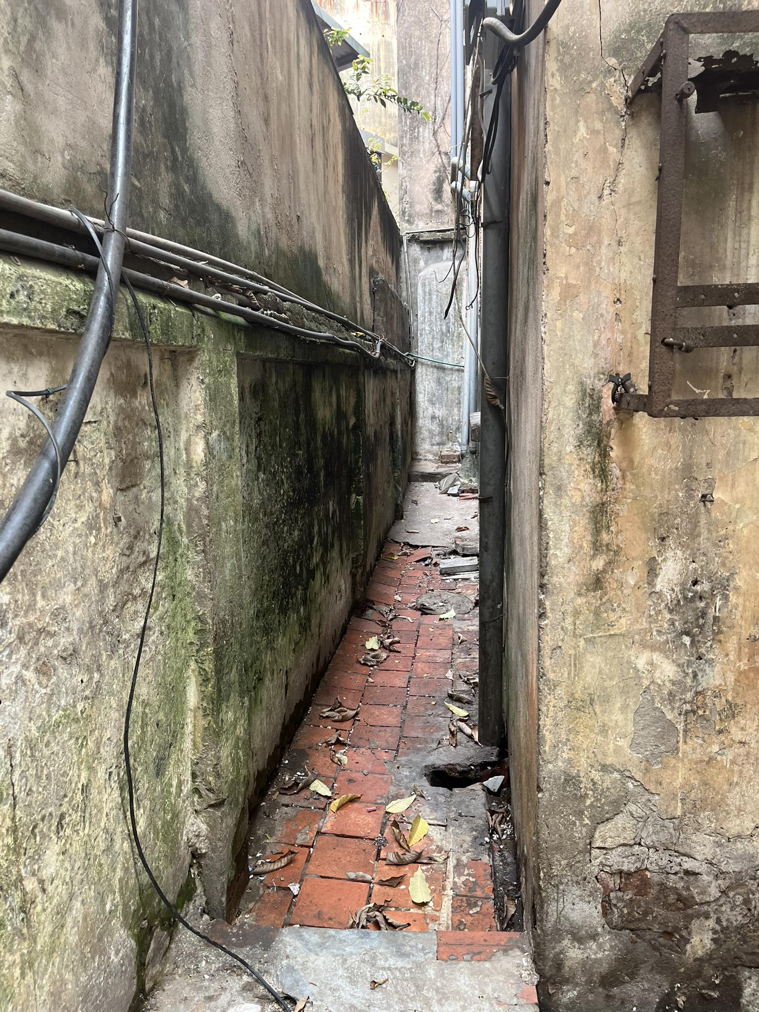 Hàng xóm nhà bà lão Hàng xóm nhà bà lão