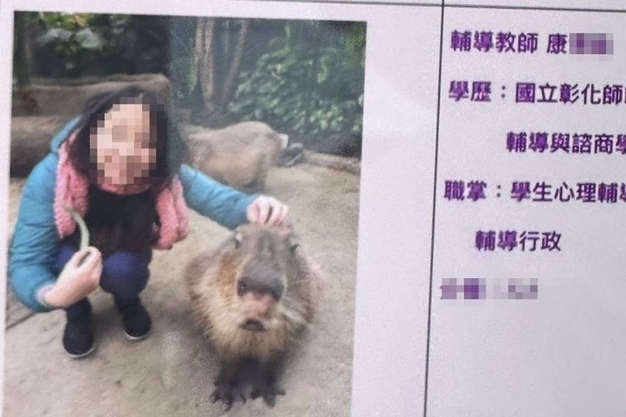 Động đất rung chuyển Đài Loan: Cô gái thiệt mạng vì cố quay lại tòa nhà đổ sập để cứu mèo- Ảnh 1. Động đất rung chuyển Đài Loan: Cô gái thiệt mạng vì cố quay lại tòa nhà đổ sập để cứu mèo- Ảnh 1.