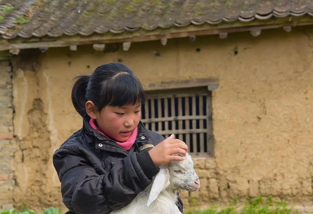 2 năm nấu bữa trưa cho bạn cùng lớp của con trai, 12 năm sau tôi được trả ơn: Quà cáp, tiền bạc đầy nhà, quý hơn cả là có thêm con gái- Ảnh 1. 2 năm nấu bữa trưa cho bạn cùng lớp của con trai, 12 năm sau tôi được trả ơn: Quà cáp, tiền bạc đầy nhà, quý hơn cả là có thêm con gái- Ảnh 1.