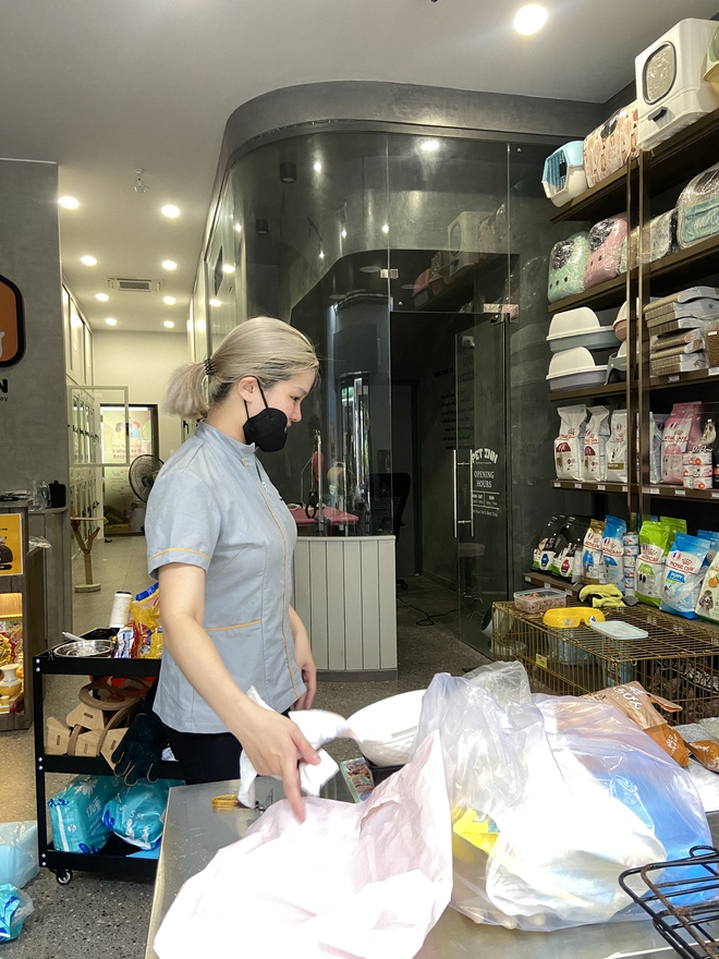 Chủ spa thú cưng xót xa nói về tình trạng 19 con chó: 